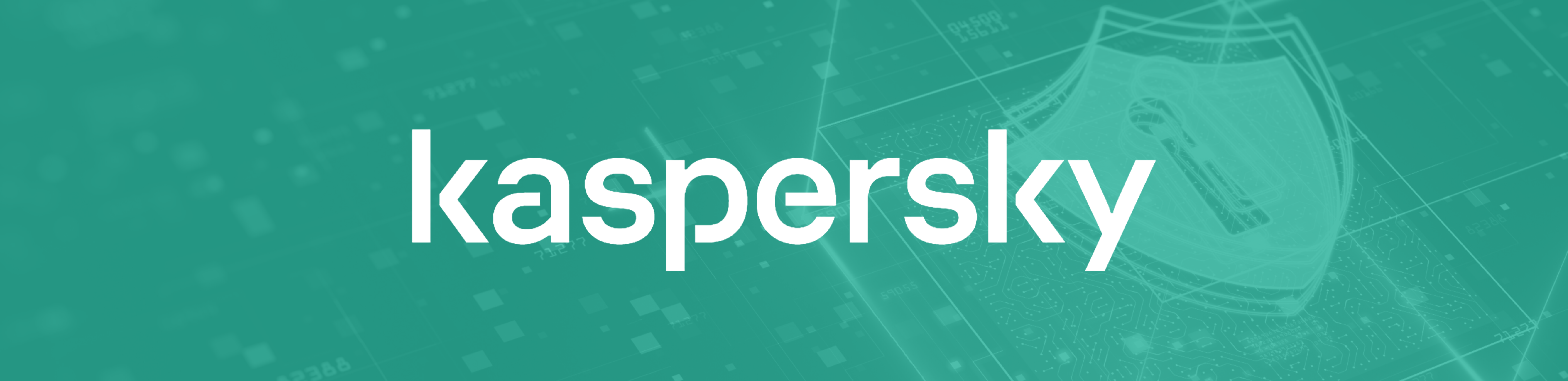 kaspersky - banner2