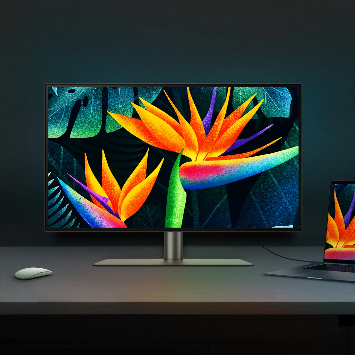 monitor-all-series-professional-1